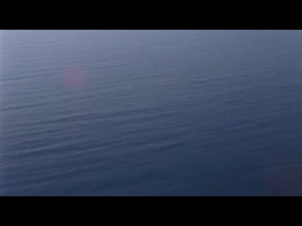 Princess.Protection.Program.2009.DVDRip.XviD-VoMiT-126