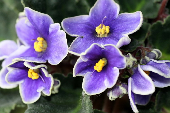 11780317_DTEHQCBWS[1]