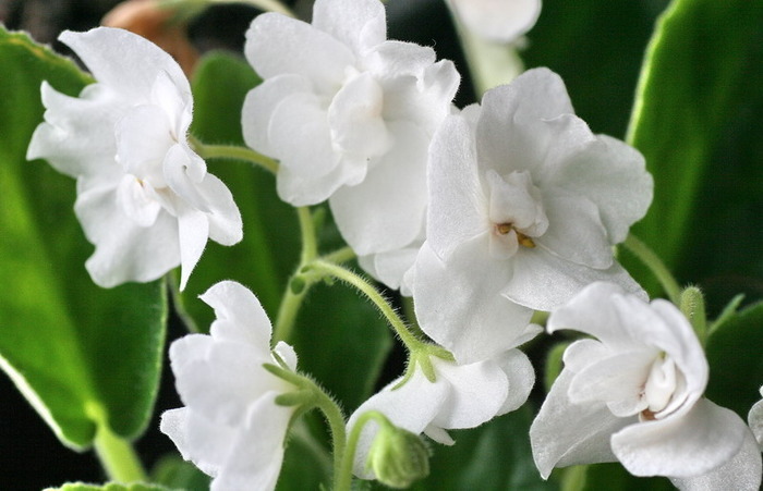 11780328_MMMNGLOOX[1]