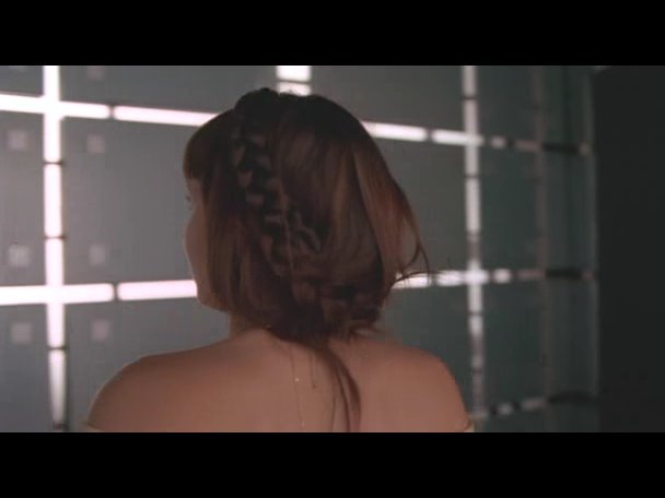 Princess.Protection.Program.2009.DVDRip.XviD-VoMiT-136