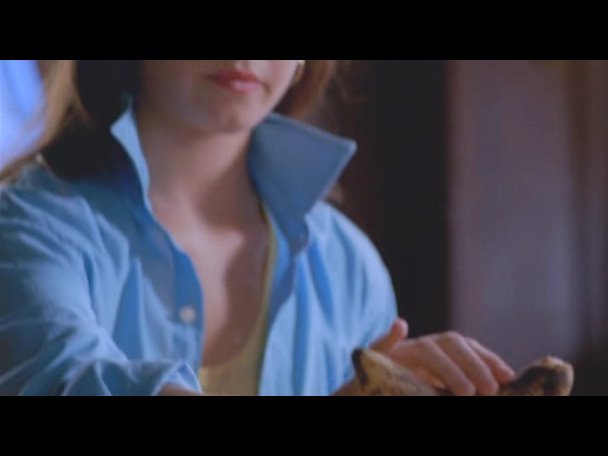 Princess.Protection.Program.2009.DVDRip.XviD-VoMiT-335