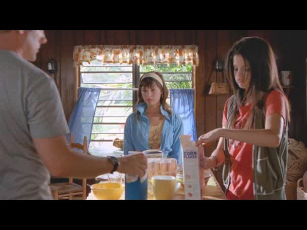 Princess.Protection.Program.2009.DVDRip.XviD-VoMiT-344