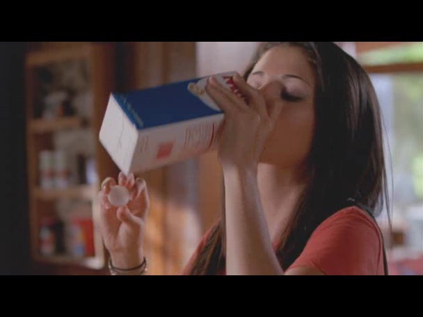 Princess.Protection.Program.2009.DVDRip.XviD-VoMiT-347