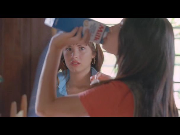 Princess.Protection.Program.2009.DVDRip.XviD-VoMiT-348