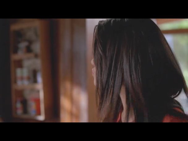 Princess.Protection.Program.2009.DVDRip.XviD-VoMiT-354