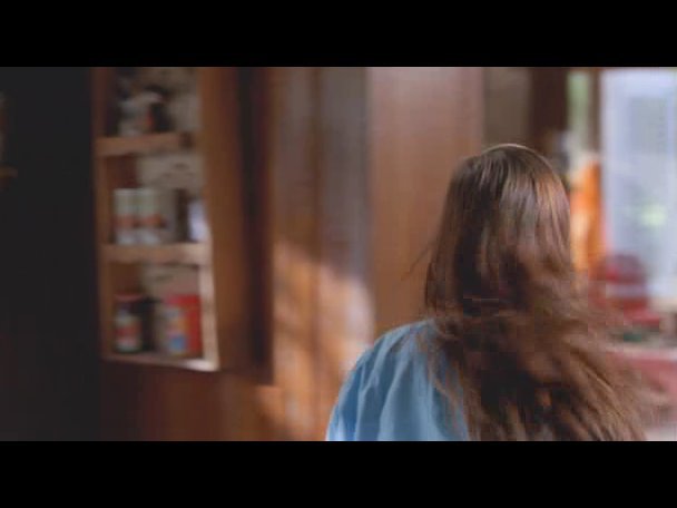 Princess.Protection.Program.2009.DVDRip.XviD-VoMiT-358