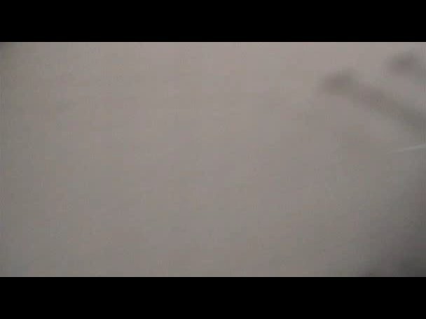 Princess.Protection.Program.2009.DVDRip.XviD-VoMiT-418