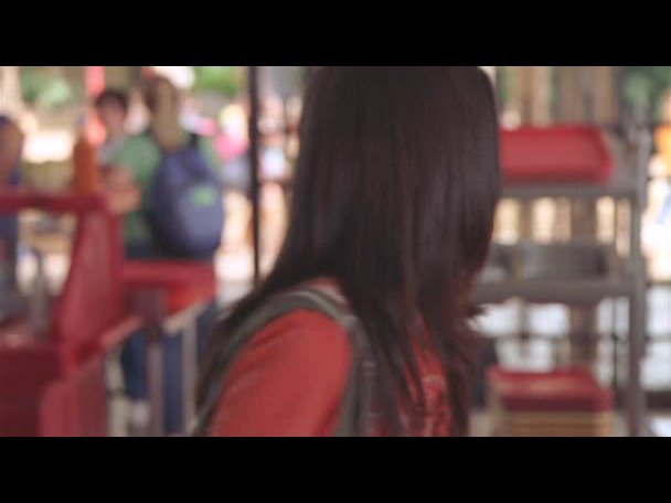 Princess.Protection.Program.2009.DVDRip.XviD-VoMiT-480