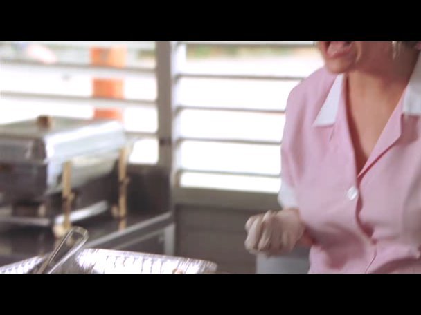 Princess.Protection.Program.2009.DVDRip.XviD-VoMiT-500