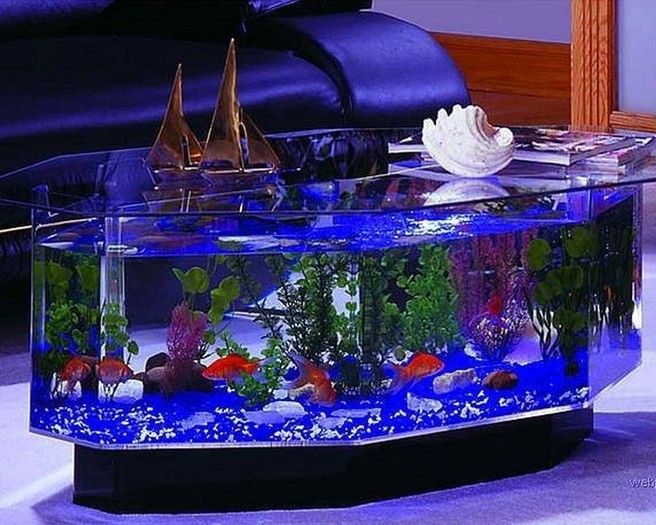 FEZOYMCCJYKOSDDFEQK[1]