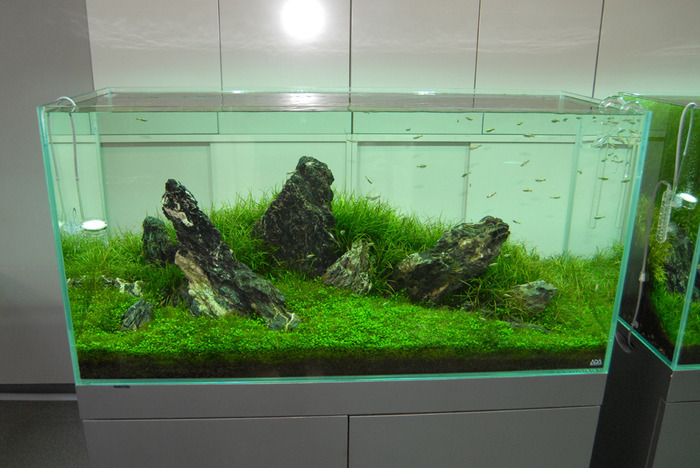 IDHOLWOVRUXVLBCNFGS[2]