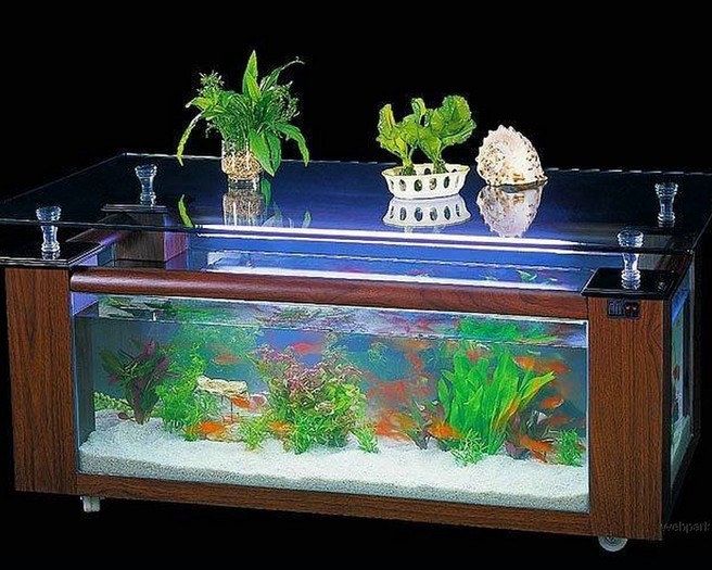 IQXQNCFEAEUFLUOQTAZ[2]