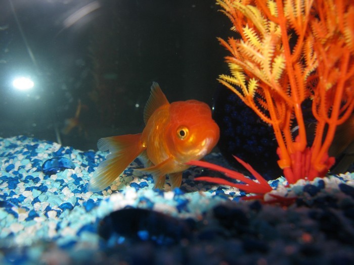 ISPETQHDEFZYZQCZKJU[1]