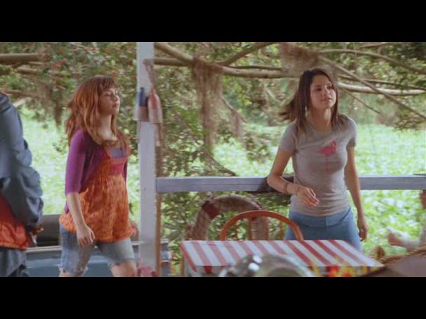 Princess.Protection.Program.2009.DVDRip.XviD-VoMiT-646