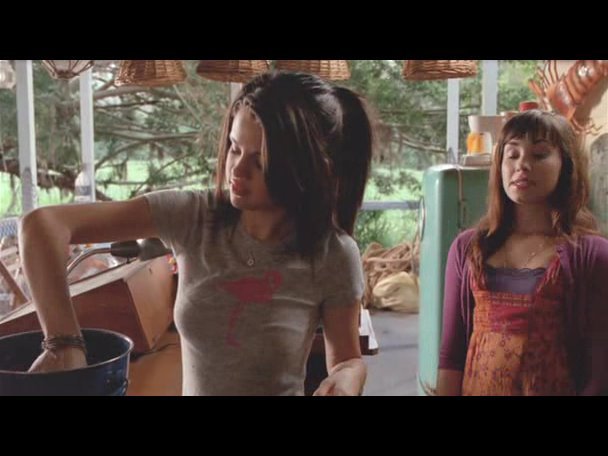 Princess.Protection.Program.2009.DVDRip.XviD-VoMiT-653