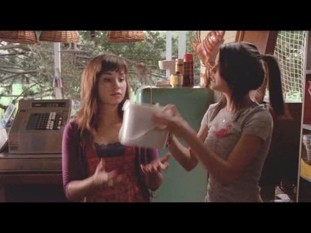 Princess.Protection.Program.2009.DVDRip.XviD-VoMiT-664