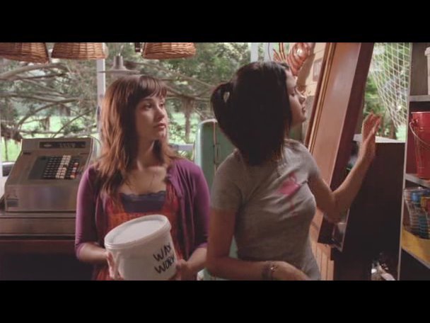 Princess.Protection.Program.2009.DVDRip.XviD-VoMiT-665