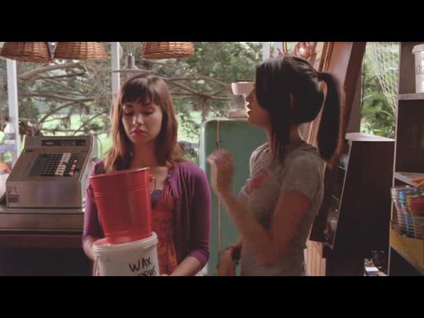 Princess.Protection.Program.2009.DVDRip.XviD-VoMiT-667