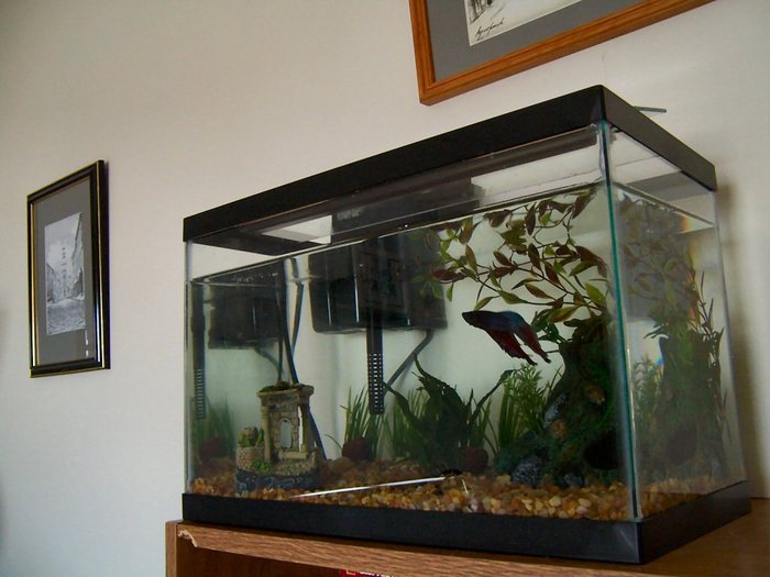 MZTEOYPVCJDFNSQGGWX[1]