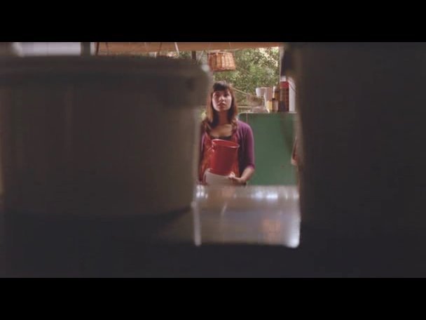 Princess.Protection.Program.2009.DVDRip.XviD-VoMiT-677