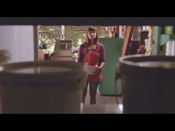 Princess.Protection.Program.2009.DVDRip.XviD-VoMiT-678