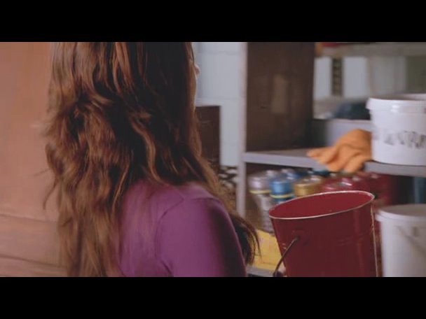 Princess.Protection.Program.2009.DVDRip.XviD-VoMiT-681