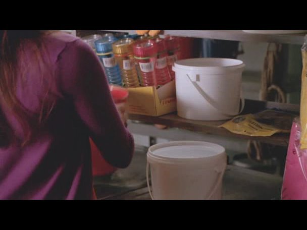 Princess.Protection.Program.2009.DVDRip.XviD-VoMiT-682