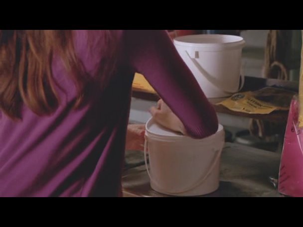 Princess.Protection.Program.2009.DVDRip.XviD-VoMiT-683