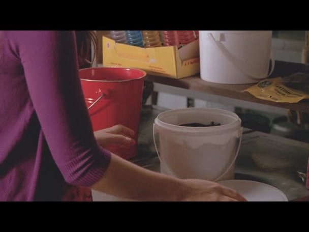 Princess.Protection.Program.2009.DVDRip.XviD-VoMiT-686