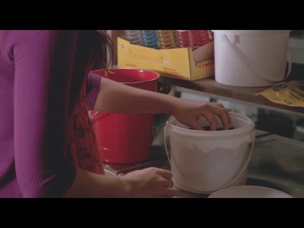 Princess.Protection.Program.2009.DVDRip.XviD-VoMiT-688