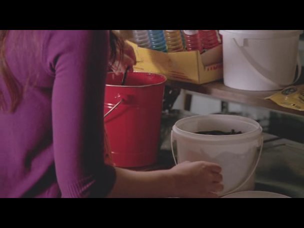 Princess.Protection.Program.2009.DVDRip.XviD-VoMiT-689