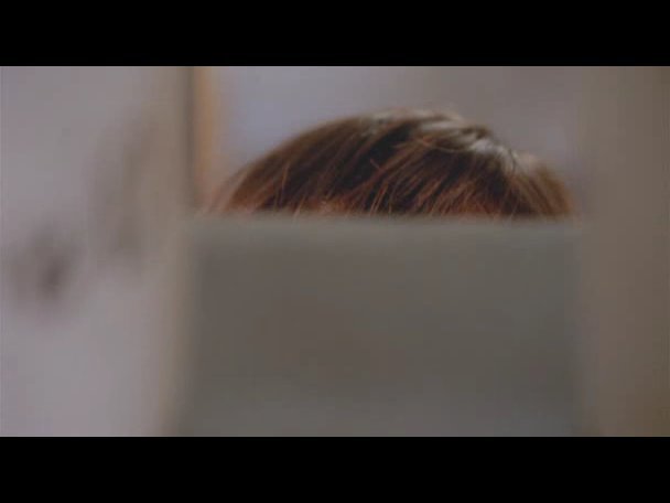 Princess.Protection.Program.2009.DVDRip.XviD-VoMiT-703