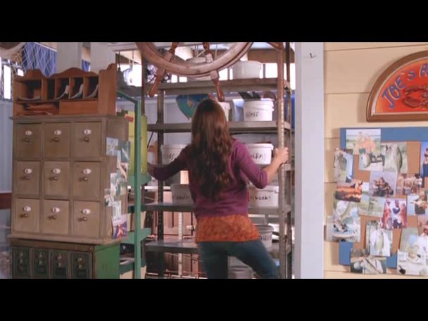 Princess.Protection.Program.2009.DVDRip.XviD-VoMiT-705