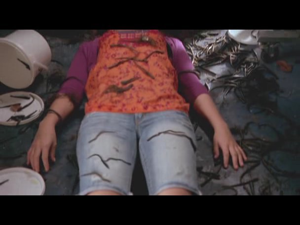 Princess.Protection.Program.2009.DVDRip.XviD-VoMiT-707