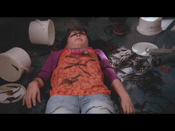 Princess.Protection.Program.2009.DVDRip.XviD-VoMiT-708