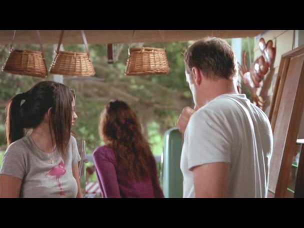 Princess.Protection.Program.2009.DVDRip.XviD-VoMiT-717