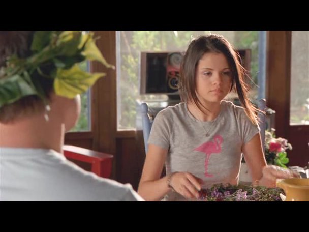 Princess.Protection.Program.2009.DVDRip.XviD-VoMiT-774