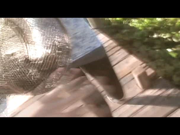 Princess.Protection.Program.2009.DVDRip.XviD-VoMiT-957