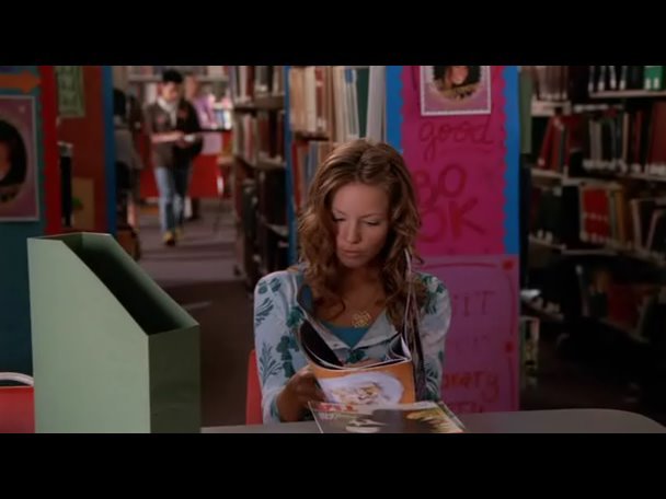 Princess.Protection.Program.2009.DVDRip.XviD-VoMiT-1140