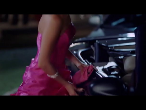 Princess.Protection.Program.2009.DVDRip.XviD-VoMiT-1273