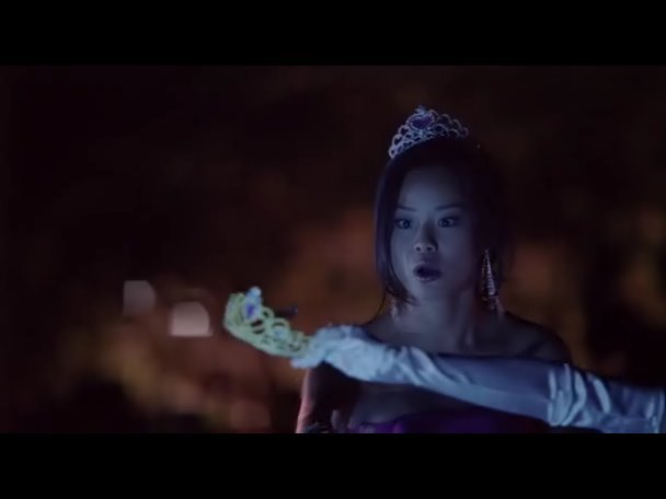 Princess.Protection.Program.2009.DVDRip.XviD-VoMiT-1336