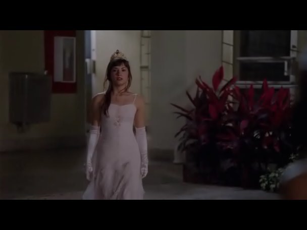 Princess.Protection.Program.2009.DVDRip.XviD-VoMiT-1343