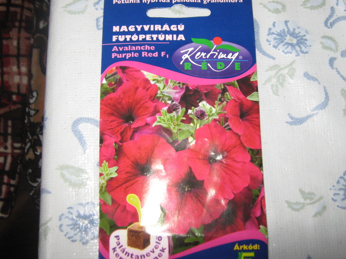 Petunia hybrida rosie