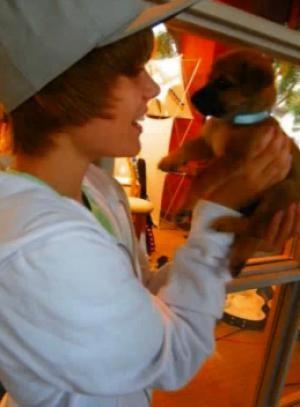 justinbieber_1251218345 - Justin Bieber puppy