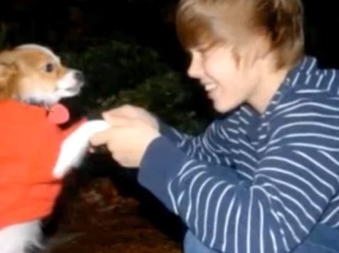 random-justin-bieber-pics-justin-bieber-9654534-476-356 - Justin Bieber puppy