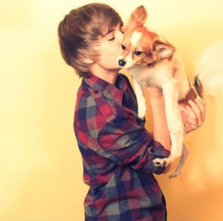 11395423_XBCUOBEAT - Justin Bieber puppy