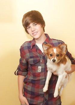 profiles_profiles_ - Justin Bieber puppy