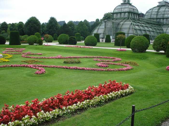 Parc in Viena (2009, June 27) - Flori Gradini Parcuri