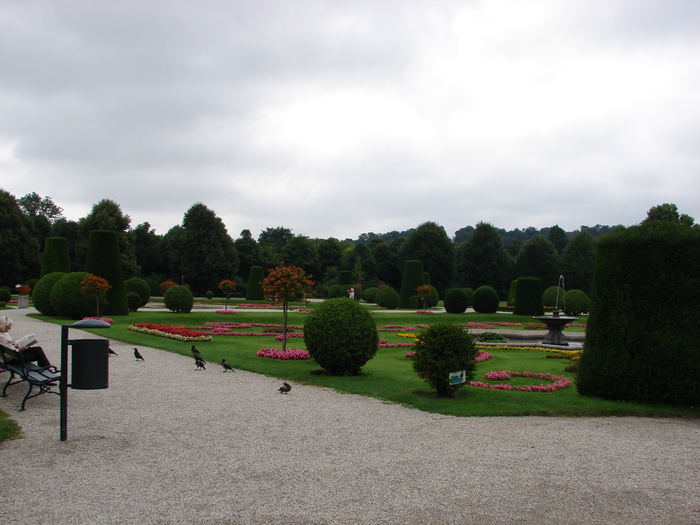 Parc in Viena (2009, June 27) - Flori Gradini Parcuri