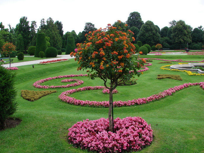 Parc in Viena (2009, June 27) - Flori Gradini Parcuri